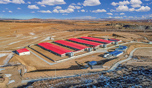 猪场装备与工程